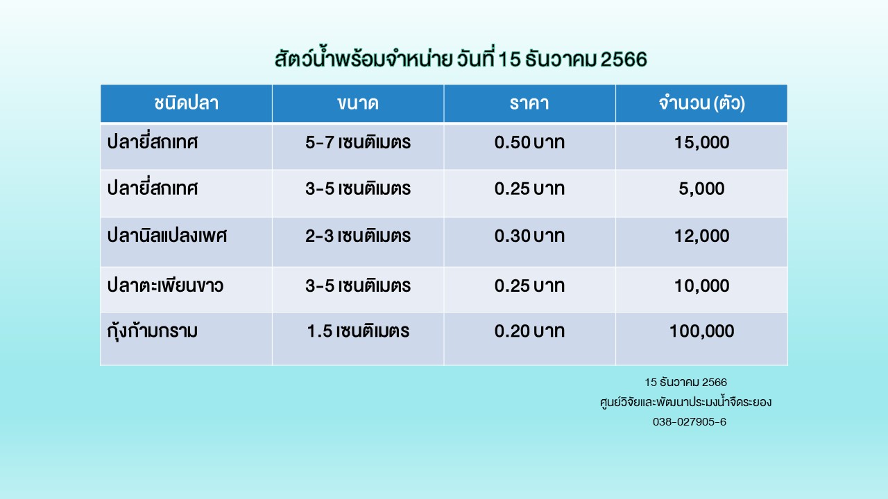 สัตว์น้ำพร้อมจำหน่าย วันที่ 15 ธันวาคม 2566..คลิก