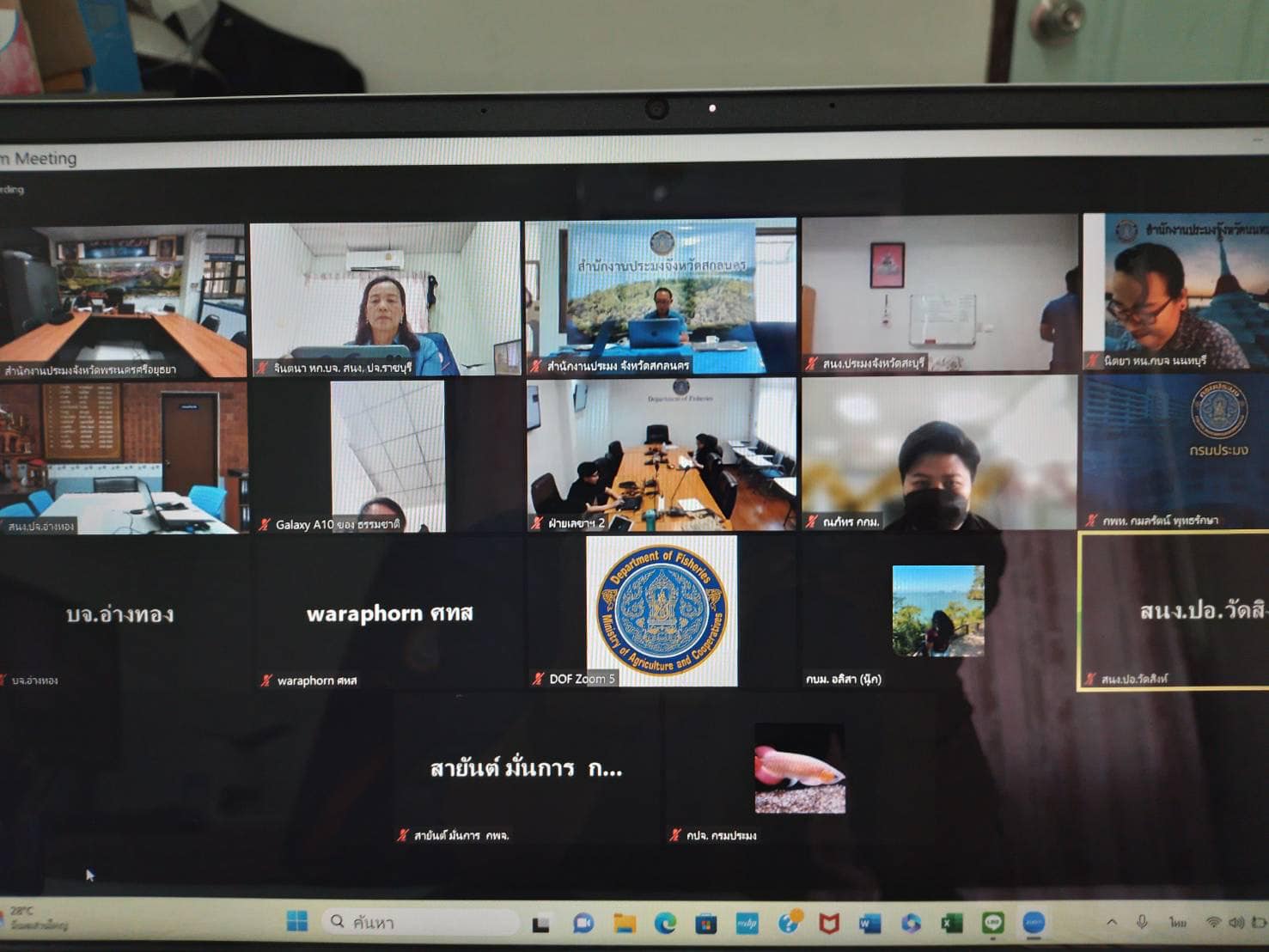 เข้าร่วมประชุมคณะกรรมการพิจารณาการกำหนดเขตที่รักษาพันธุ์สัตว์น้ำ ครั้งที่ 11/2566 ผ่านระบบออนไลน์..คลิก