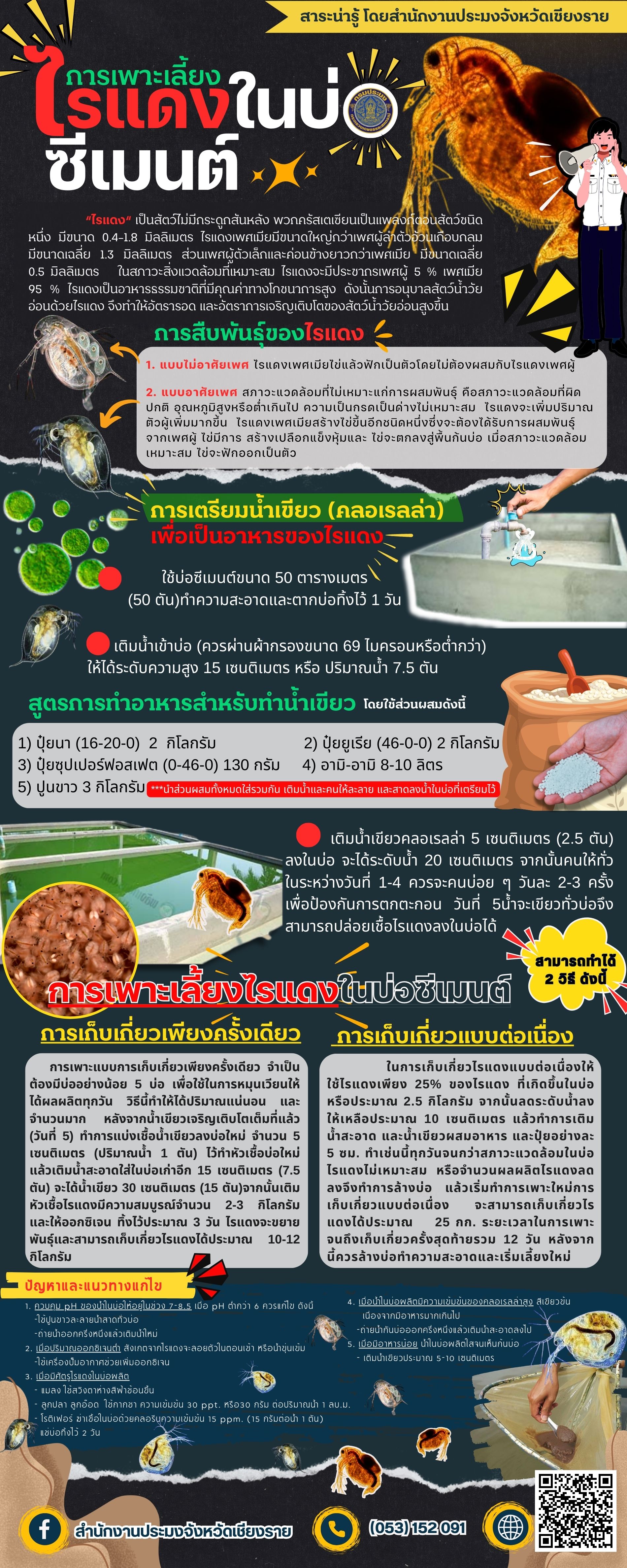 สาระน่ารู้ กับประมงเชียงราย  การเลี้ยงไรแดง..คลิก