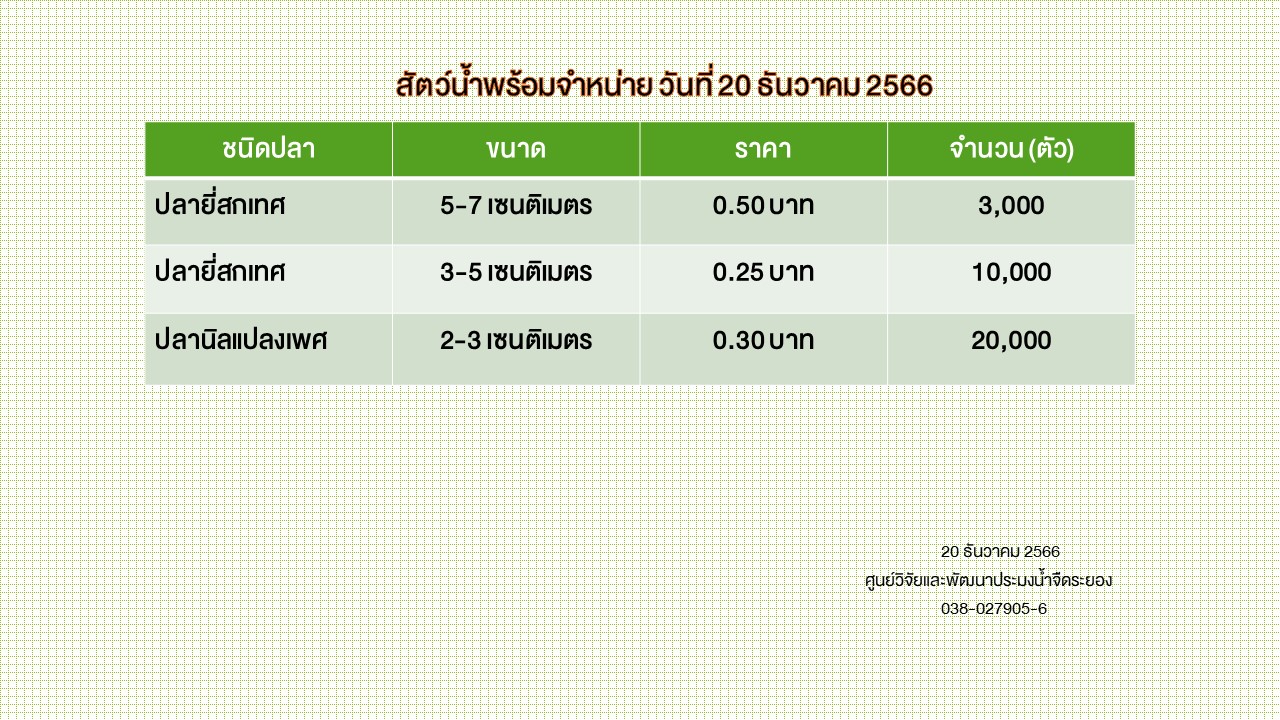 สัตว์น้ำพร้อมจำหน่าย วันที่ 20 ธันวาคม 2566..คลิก