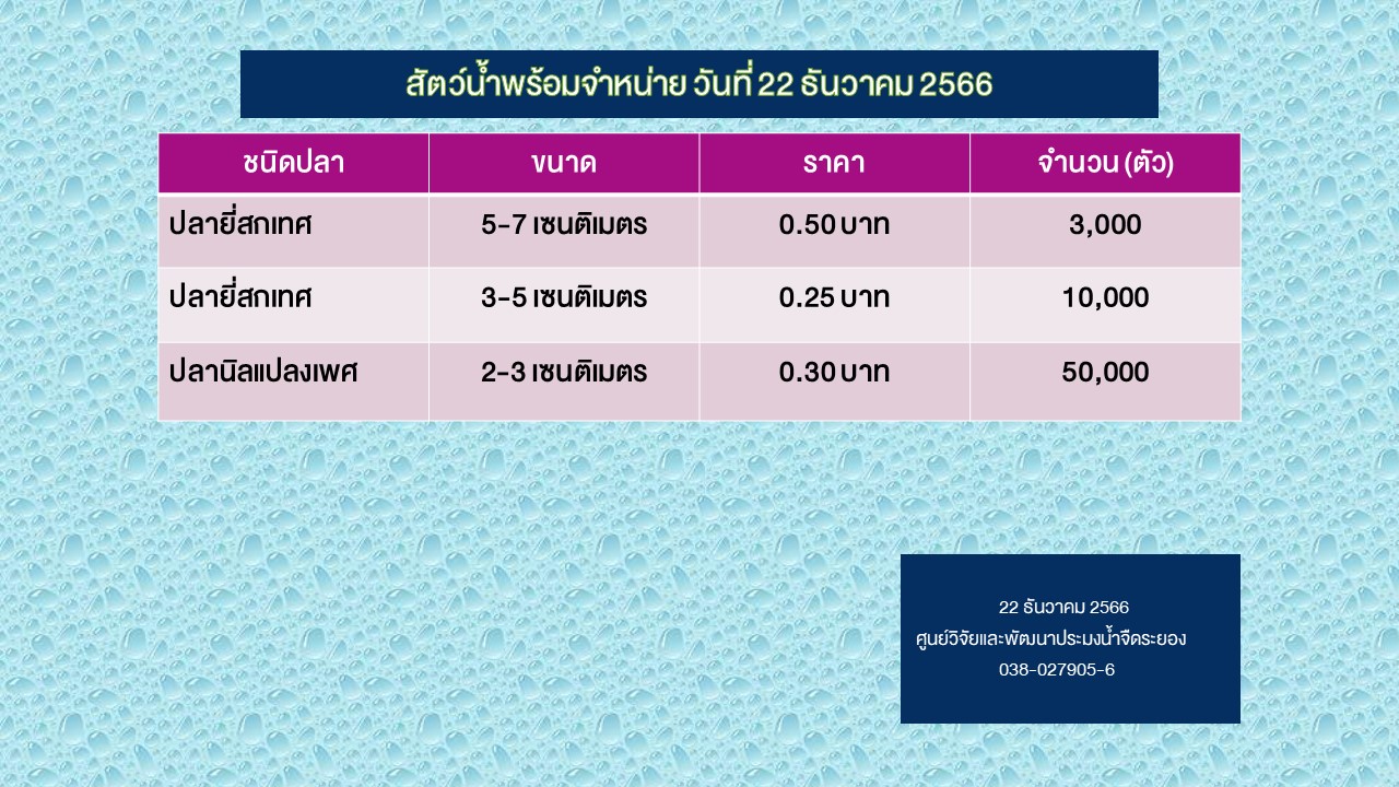 สัตว์น้ำพร้อมจำหน่าย วันที่ 22 ธันวาคม 2566..คลิก