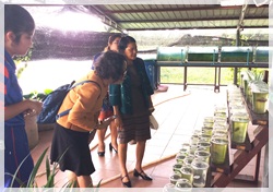 ต้อนรับคณะอาจารย์ นักเรียนโรงเรียนวิทยาศาสตร์จุฬาภรณ์ตรัง..คลิก