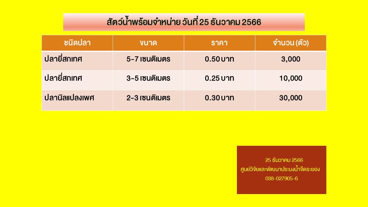 สัตว์น้ำพร้อมจำหน่าย วันที่ 25 ธันวาคม 2566..คลิก