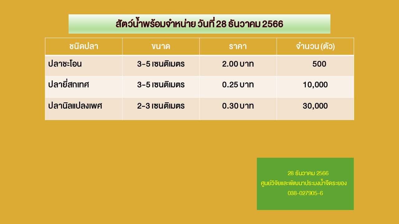 สัตว์น้ำพร้อมจำหน่าย วันที่ 28 ธันวาคม 2566..คลิก