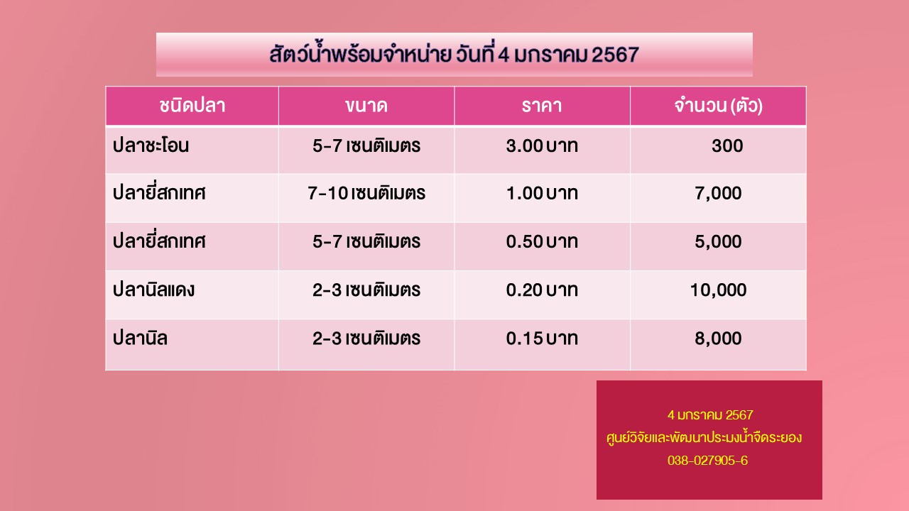 สัตว์น้ำพร้อมจำหน่าย วันที่ 4 มกราคม 2567..คลิก