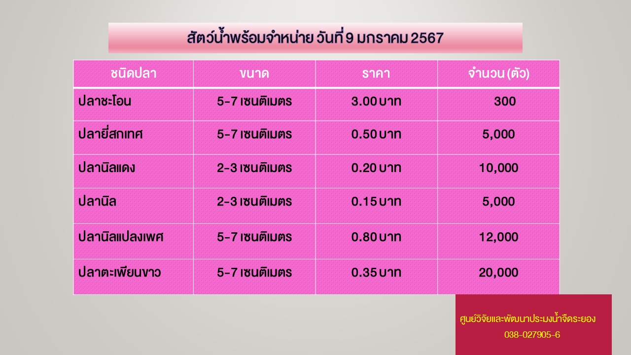 สัตว์น้ำพร้อมจำหน่าย วันที่ 9 มกราคม 2567..คลิก