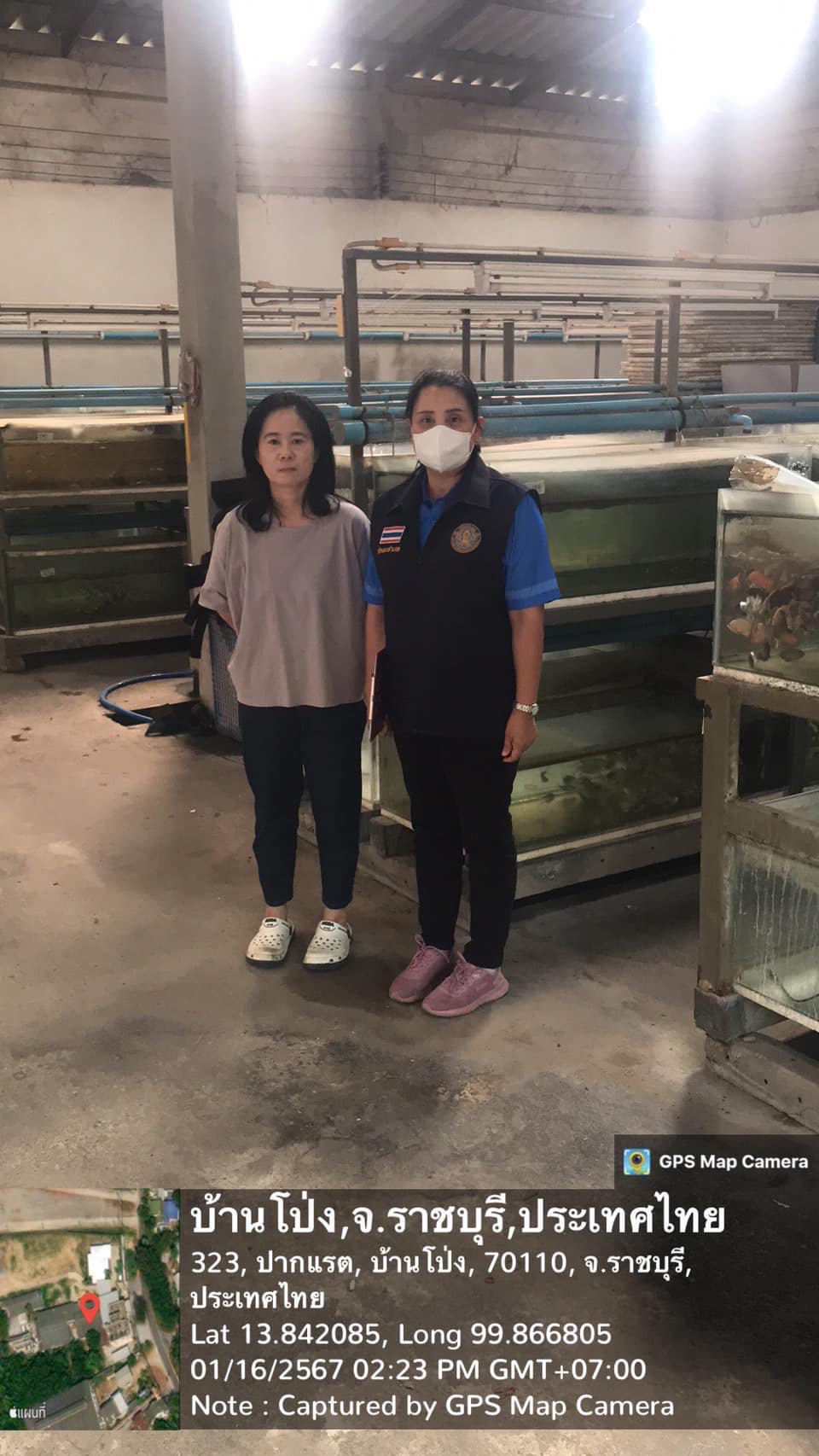 ลงพื้นที่ตรวจสอบการครอบครองปลาหมูอารีย์ เพื่อขอต่อใบอนุญาตให้ค้าสัตว์ป่าคุ้มครองที่ได้มาจากการเพาะพันธุ์ (สป.11)..คลิก