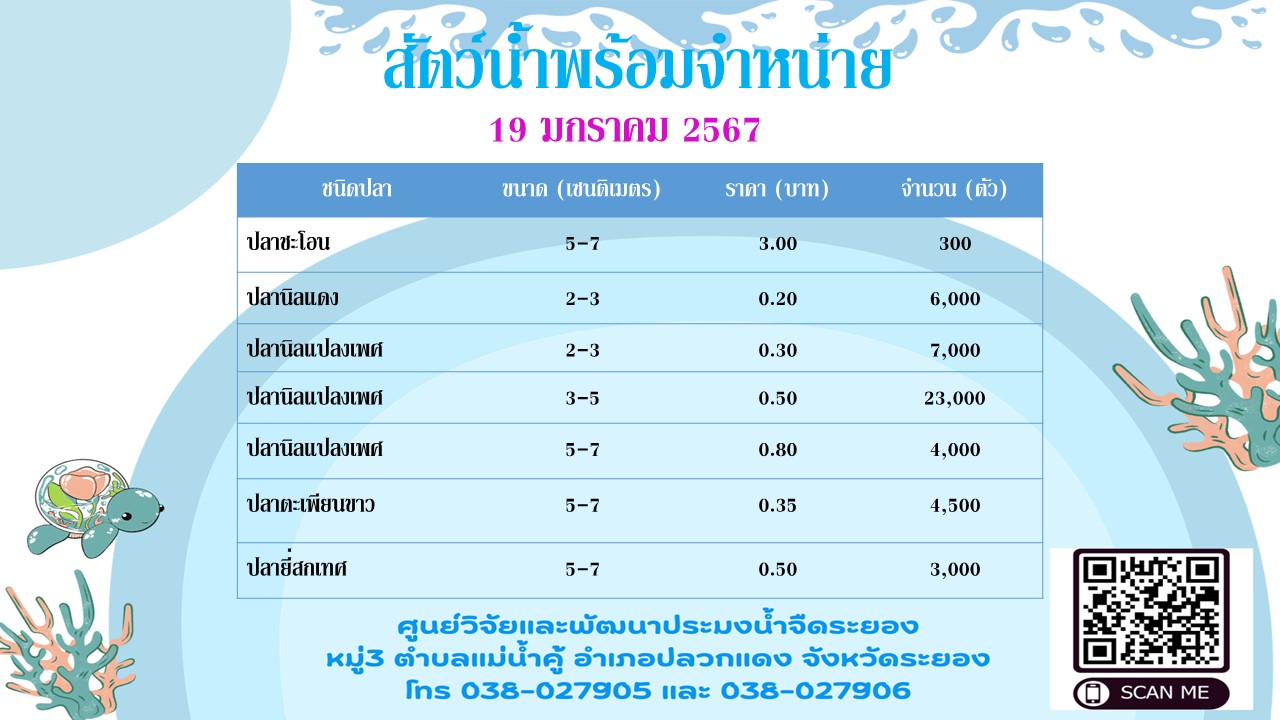 ปลาพร้อมขาย วันที่ 19 มกราคม 2567..คลิก
