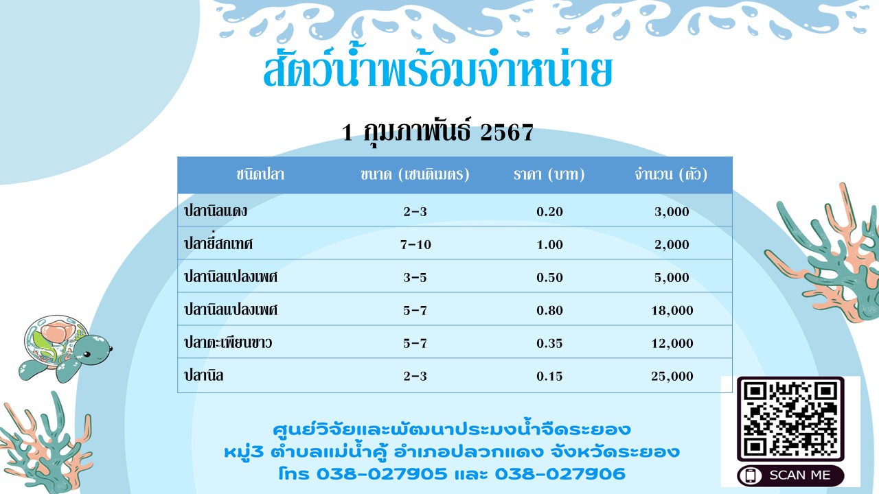 สัตว์น้ำพร้อมจำหน่าย วันที่ 1 กุมภาพันธ์ 2567..คลิก