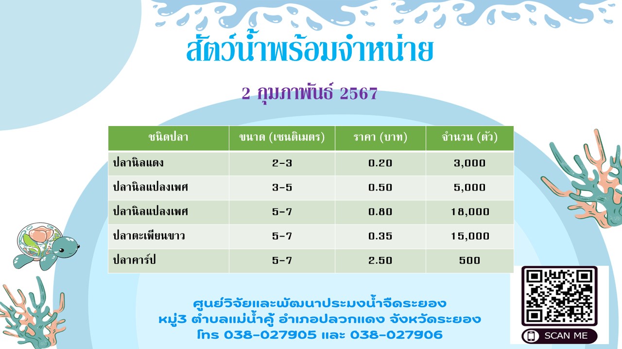 สัตว์น้ำพร้อมจำหน่าย วันที่ 2 กุมภาพันธ์ 2567..คลิก