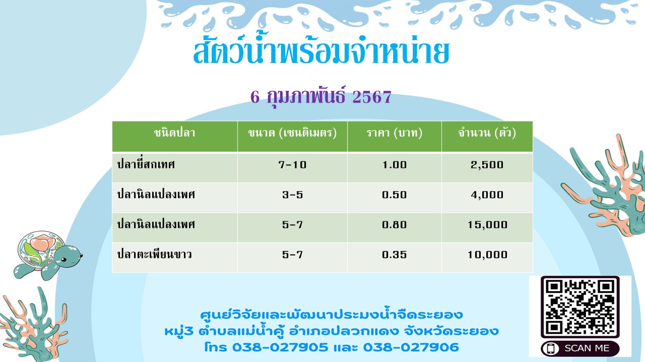 สัตว์น้ำพร้อมจำหน่าย วันที่ 6 กุมภาพันธ์ 2567..คลิก