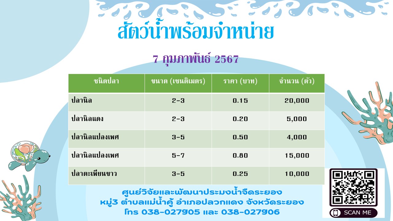 สัตว์น้ำพร้อมจำหน่าย วันที่ 7 กุมภาพันธ์ 2567..คลิก