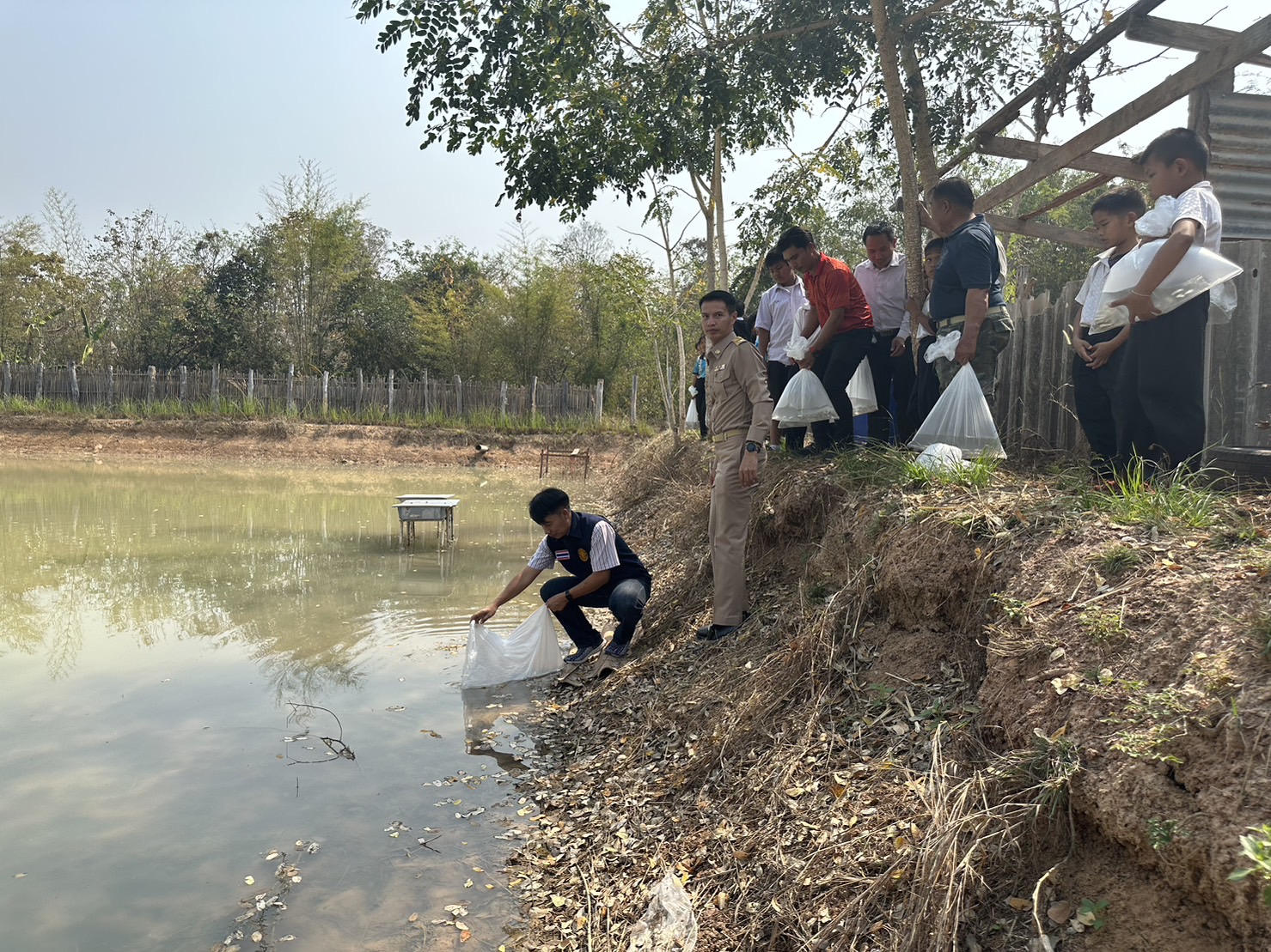 นายบุญหลาย กุลนารัตน์ ประมงจังหวัดหนองบัวลำภู มอบหมายให้นายวิทยา ประเสริฐสังข์ ประมงอำเภอโนนสัง ส่งมอบปัจจัยการผลิตด้านประมงให้กับโรงเรียนกองทุนการศึกษา โครงการบ้านหลังที่ 2..คลิก