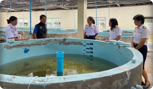 การต้อนรับรองอธิบดีเยี่ยมชมกิจกรรมภายในศูนย์ฯ..คลิก