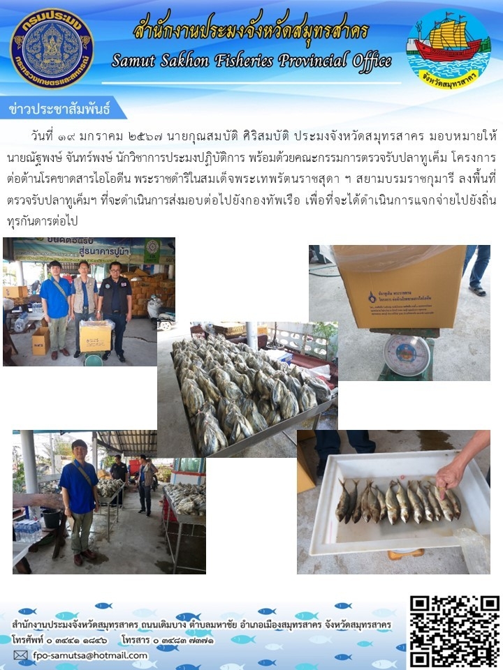 วันที่ 19 มกราคม 2567  นายกุณสมบัติ  ศิริสมบัติ  ประมงจังหวัดสมุทรสาคร  มอบหมายให้นายณัฐพงษ์  จันทร์พงษ์  นักวิชาการประมงปฏิบัติการ พร้อมด้วยคณะกรรมการตรวจรับปลาทูเค็ม โครงการต่อต้านโรคขาดสารไอโอดีน  พระราชดำริในสมเด็จพระเทพรัตนราชสุดาฯ สยามบรมราชกุมารี ลงพื้นที่ตรวจรับปลาทูเค็ม ที่จะดำเนินการส่งมอบต่อไปยังกองทัพเรือ  เพื่อที่จะได้ดำเนินการแจกจ่ายไปยังถิ่นทุรกันดารต่อไป..คลิก