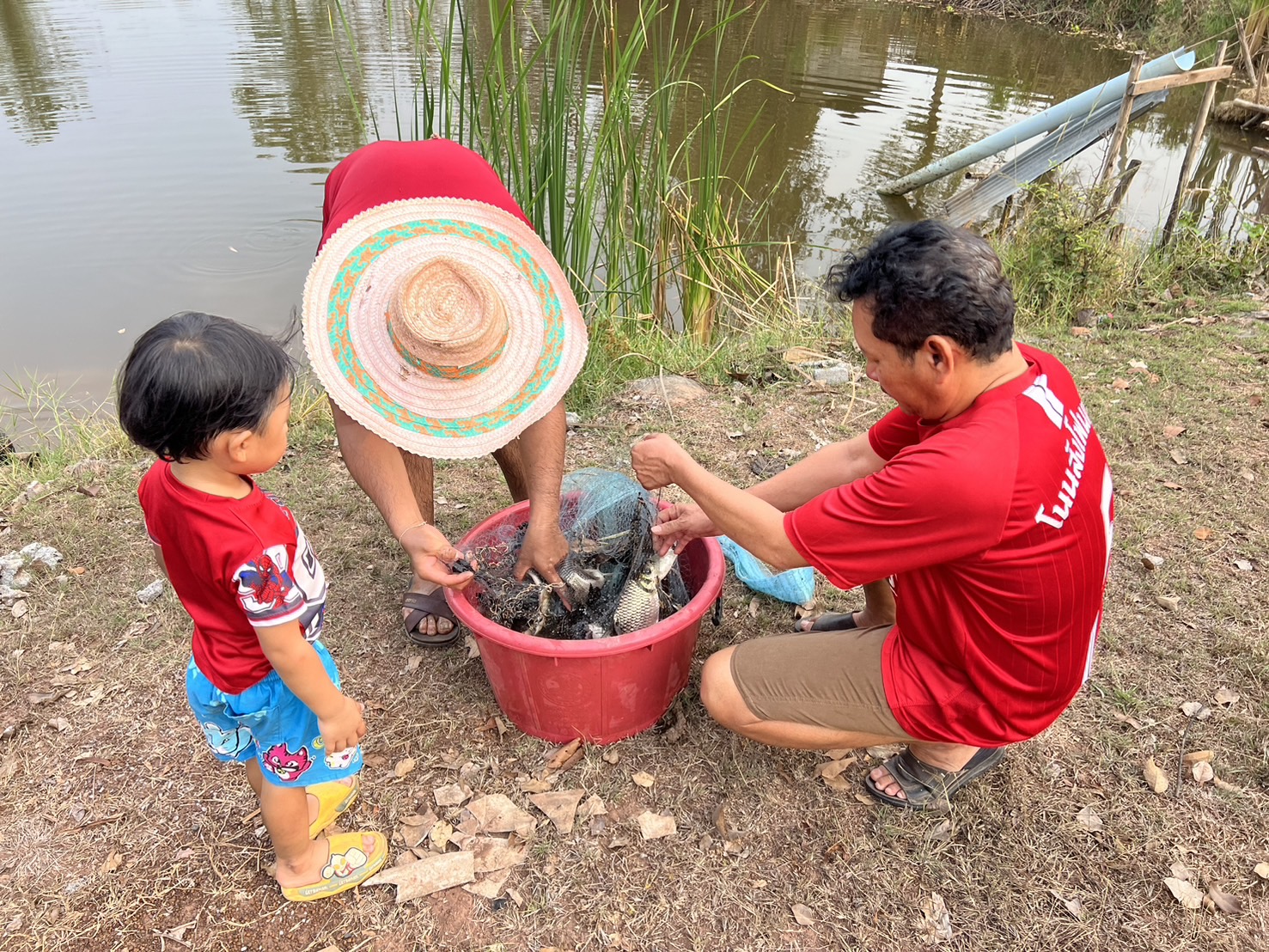 นายวิทยา ประเสริฐสังข์ ประมงอำเภอโนนสังติดตามบูรณาการร่วมกับนายณัฐดนัย พะนะสิทธิ์ครูผู้รับผิดชอบด้านประมงและคณะกรรมการนักเรียนโคกป่ากุงขยายผลการเพาะพันธุ์ปลาตะเพียนด้วยชุด Mobile Hatchery ที่ได้รับงบประมาณปี 2566..คลิก