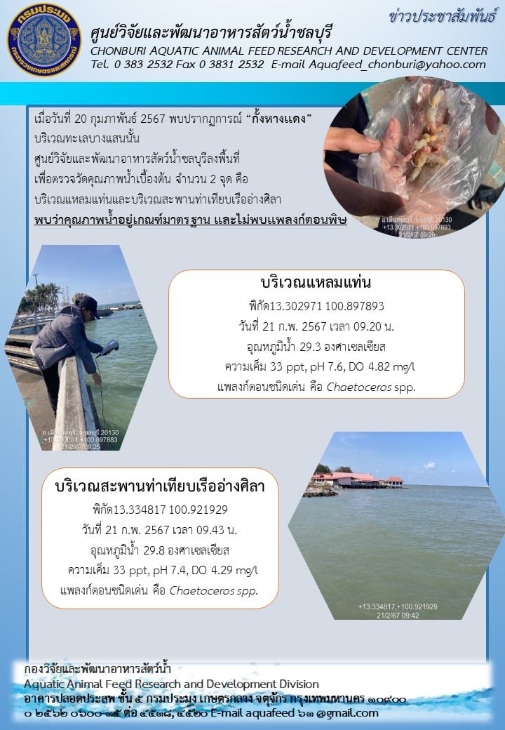 ข่าวประชาสัมพันธ์ : ฉบับที่ 7/2567..คลิก