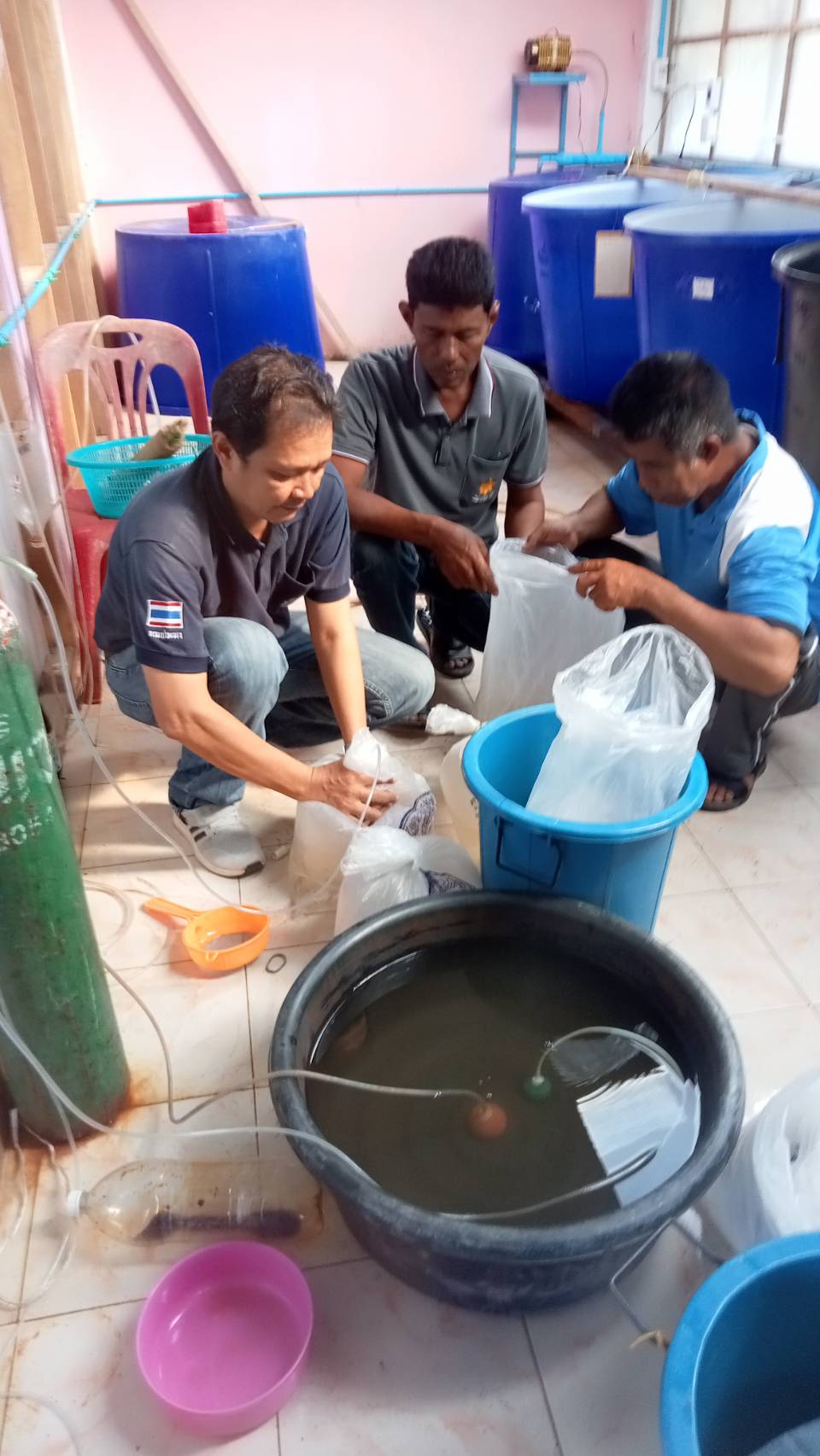 หัวหน้ากลุ่มบริหารจัดการด้านประมง พร้อมด้วย ประมงอำเภอเขาชัยสน เจ้าพนักงานประมงปฎิบัติงาน ปล่อยพันธุ์กุ้งก้ามกราม ณ ทะเลสาบสงขลา  บริเวณวัดคลองขุด หมู่ที่ 8 ตำบลหานโพธิ์ อำเภอเขาชัยสน จังหวัดพัทลุง เพื่อเพิ่มความอุดมสมบูรณ์ของทรัพยากรสัตว์น้ำ และสร้างการรับรู้การอนุรักษ์ทรัพยากร สัตว์น้ำ จำนวน 30,000 ตัว..คลิก