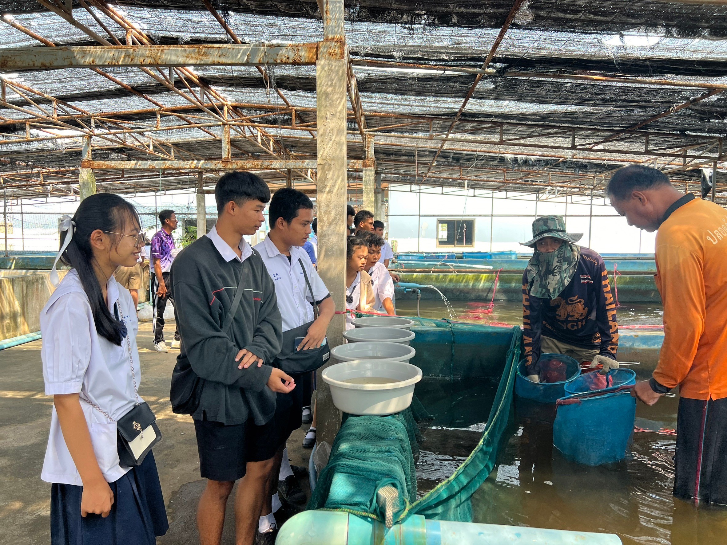 จัดฝึกอบรมเยาวชนจำนวน 25 ราย ในโครงการส่งเสริมอาชีพประมง กิจกรรม ส่งเสริมและพัฒนาศักยภาพกระบวนการผลิต กิจกรรมย่อย ส่งเสริมการเพาะเลี้ยงปลาสวยงาม ประจำปีงบประมาณ 2567..คลิก