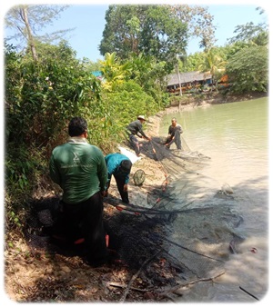 การให้ความอนุเคราะห์แก้ปัญหาปลาตายในสระน้ำวัดใหม่ไทรงาม