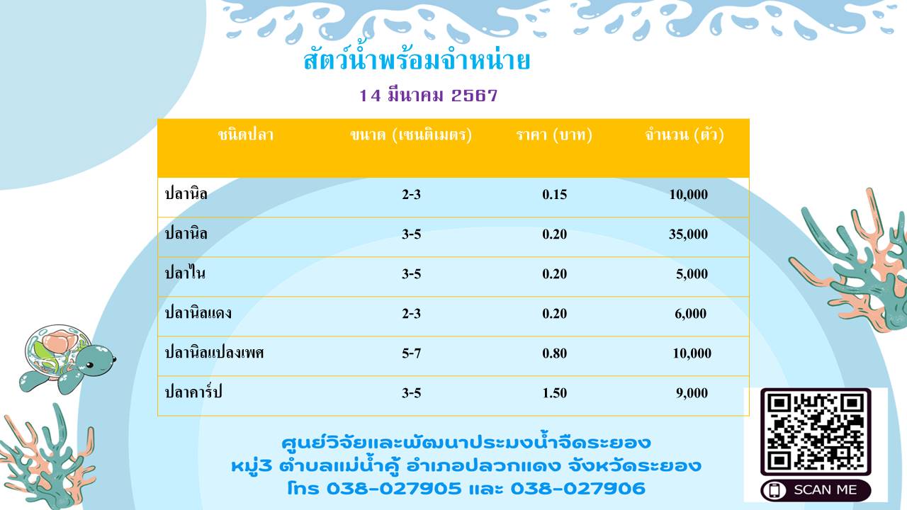 สัตว์น้ำพร้อมจำหน่าย 14 มีนาคม 2567..คลิก