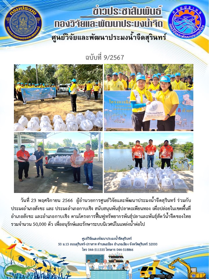 ข่าวประชาสัมพันธ์ ปักหลัง พศจิกายน 2566