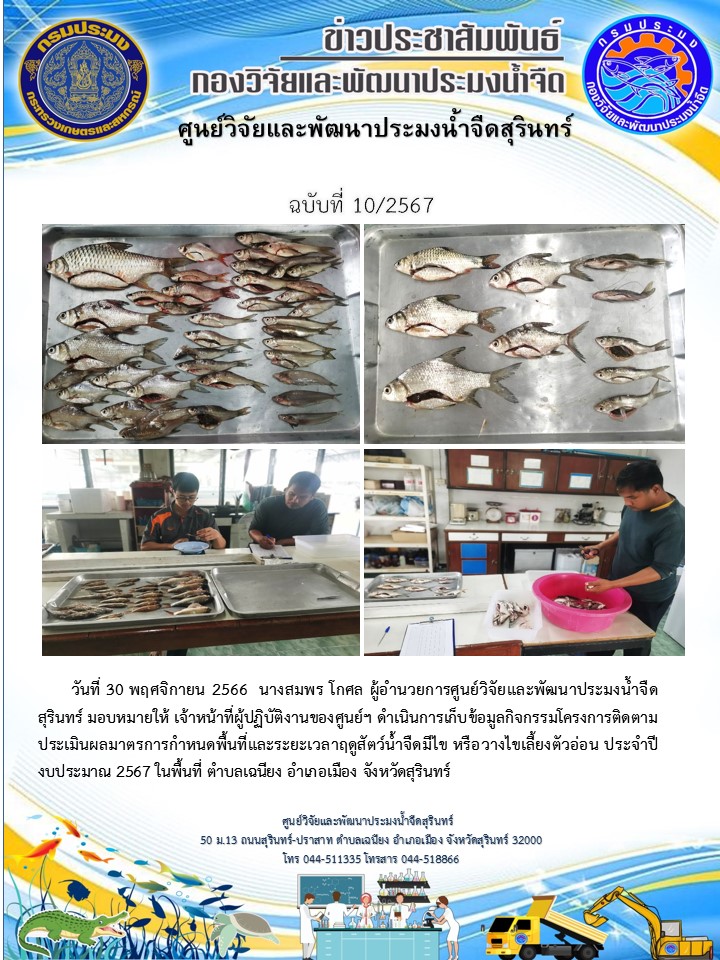 ข่าวประชาสัมพันธ์ ปักหลัง พฤศจิกายน 2566