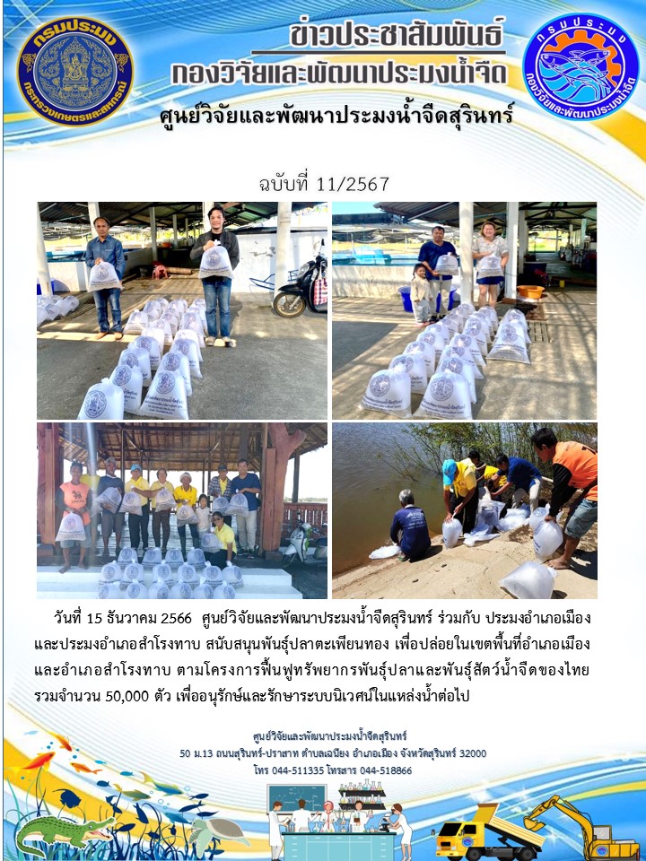 ข่าวประชาสัมพันธ์ ปักหลััง ธันวาคม 2566
