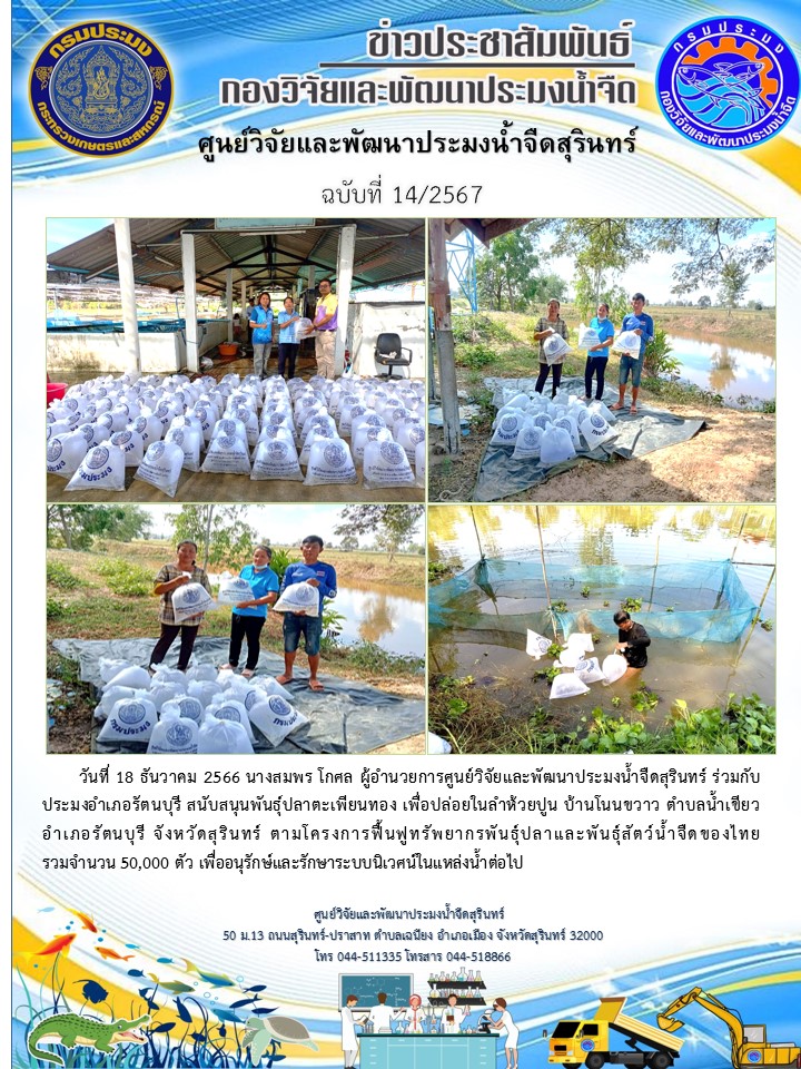 ข่าวประชาสัมพันธ์ ปักหลัง ธันวาคม 2566