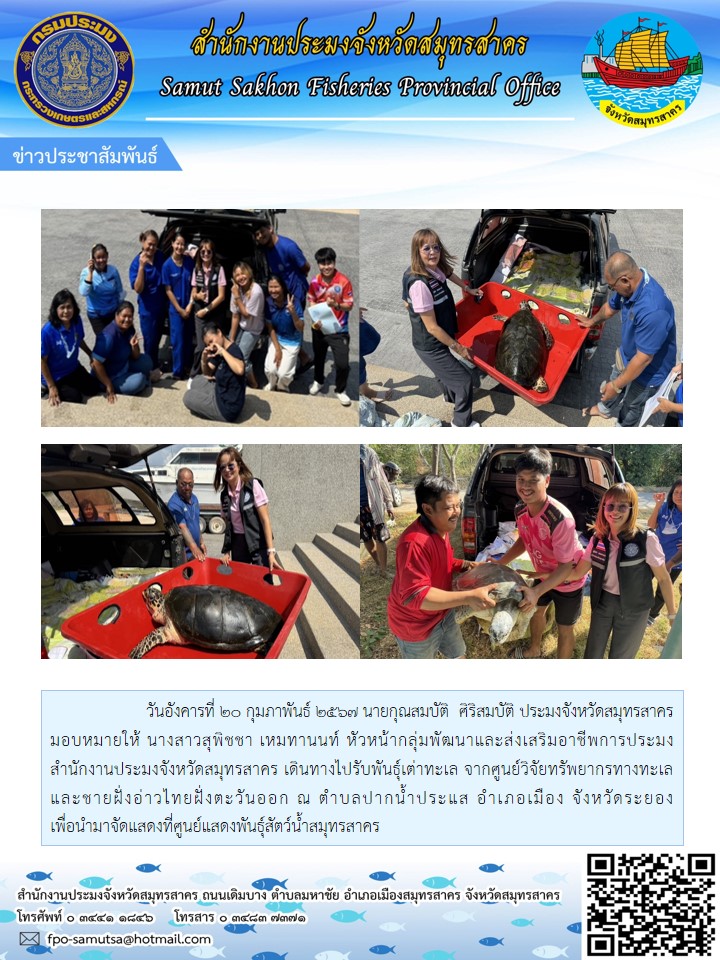 นายกุณสมบัติ  ศิริสมบัติ ประมงจังหวัดสมุทรสาคร  มอบหมายให้นางสาวสุพิชชา เหมทานนท์  หัวหน้ากลุ่มพัฒนาและส่งเสริมอาชีพการประมง  เดินทางไปรับพันธุ์เต่าทะเล จากศูนย์วิจัยทรัพยากรทางทะเลและชายฝั่งอ่าวไทยั่งตะวันออก ยเทพชนก  ยิ้มละมุล นิติกรปฏิบัติการ เข้าร่วมประชุมเชิงปฏิบัติการติดตามตรวจสอบแหล่งกำเนิดมลพิษ เพื่อสร้างการมีส่วนร่วมในการจัดการคุณภาพน้ำ..คลิก
