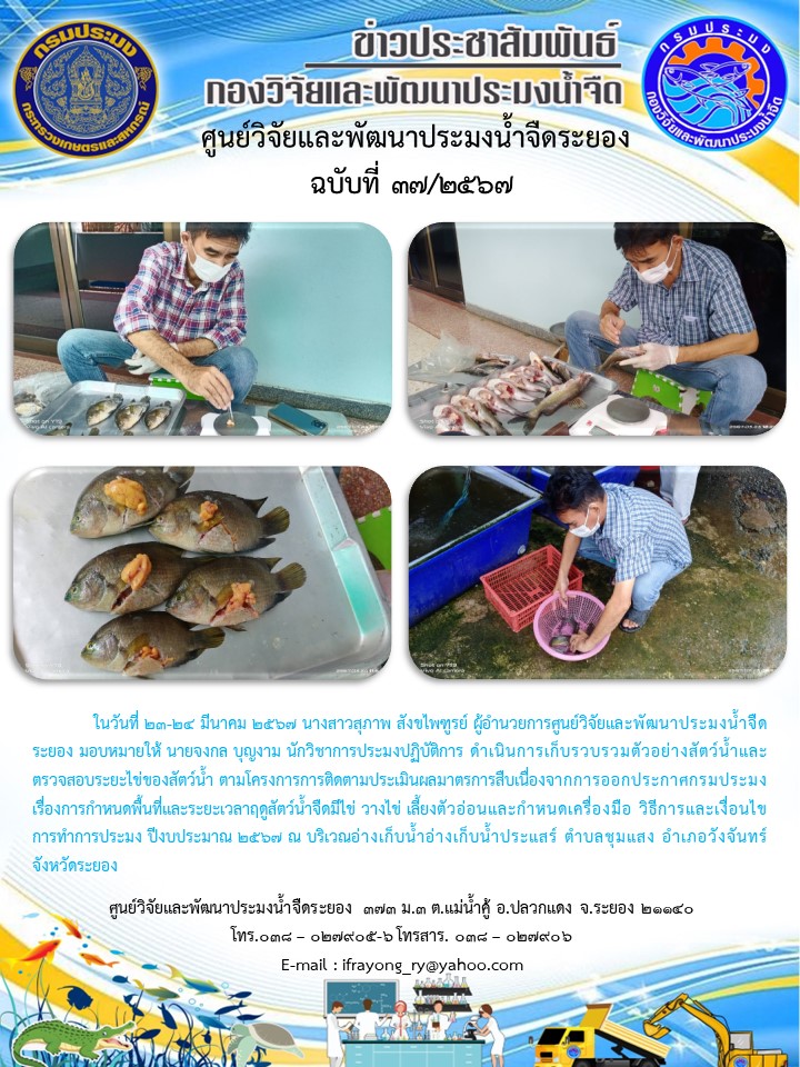 ข่าวประชาสัมพันธ์กิจกรรมฉบับที่ 37/2567..คลิก