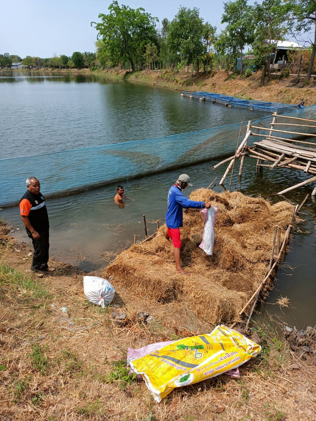 จัดกิจกรรมปล่อยพันธุ์สัตว์น้ำตามโครงการธนาคารสินค้าเกษตร (กิจกรรมสนับสนุนแบบมีส่วนร่วม) ณ แหล่งน้ำหนองคู..คลิก