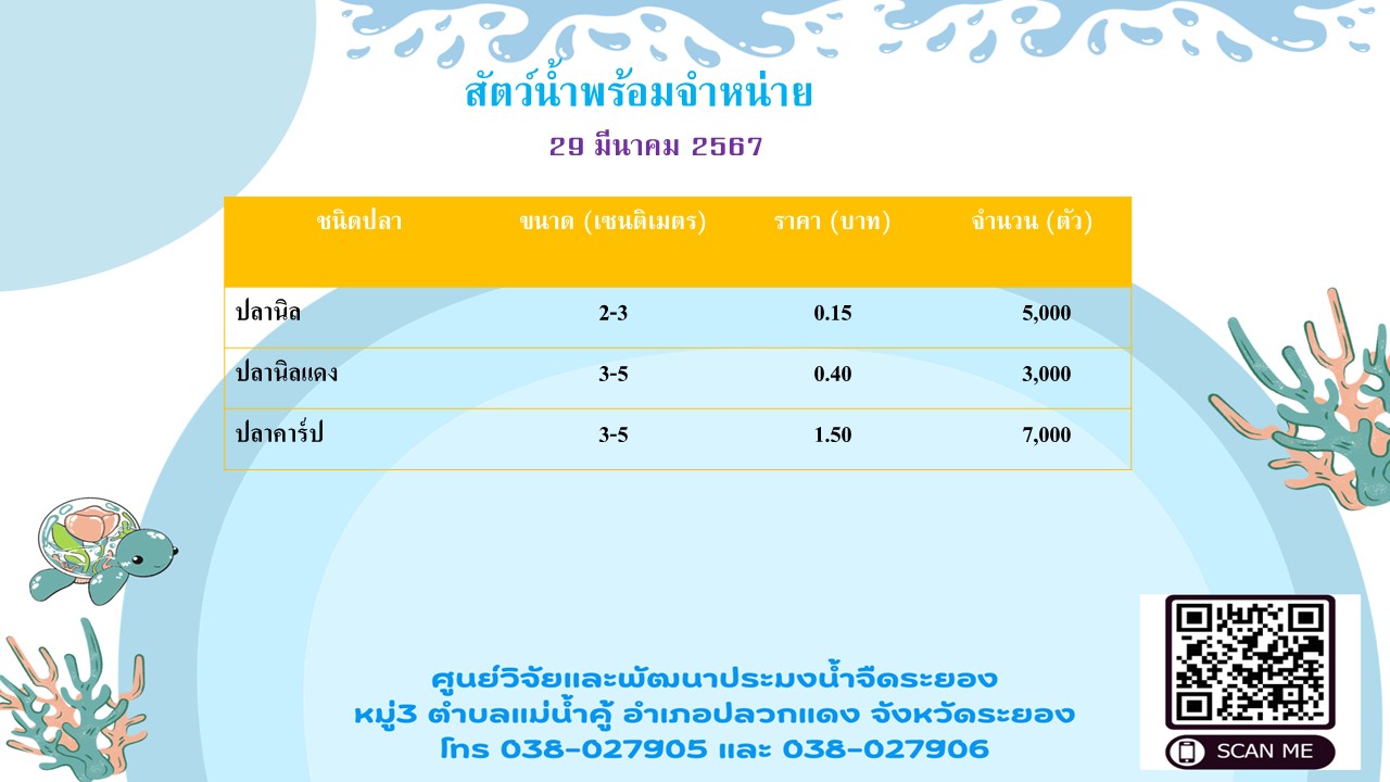 สัตว์น้ำพร้อมจำหน่าย วันที่ 29 มีนาคม 2567..คลิก