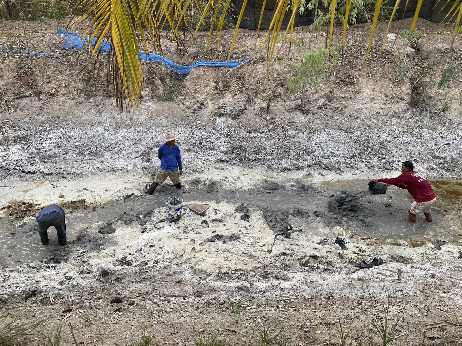 นางสาวทัศนีย์ สุนนท์ชัย หัวหน้ากลุ่มพัฒนาและส่งเสริมอาชีพการประมง รักษาราชการแทนประมงจังหวัดหนองบัวลำภู มอบหมายให้นายไพศาล ศรีคูณ นักวิชาการประมง ติดตามการดำเนินกิจกรรมของกลุ่มเพาะพันธุ์ปลาตะเพียน ด้วยชุดเพาะพันธุ์ปลาเคลื่อนที่ (Mobile hatchery)..คลิก