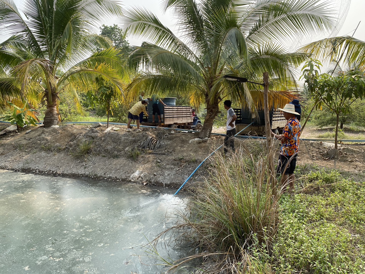 นางสาวทัศนีย์ สุนนท์ชัย หัวหน้ากลุ่มพัฒนาและส่งเสริมอาชีพการประมง รักษาราชการแทนประมงจังหวัดหนองบัวลำภู พร้อมด้วยนายไพศาล ศรีคูณ นักวิชาการประมง ติดตามการดำเนินกิจกรรมของกลุ่มเพาะพันธุ์ปลาตะเพียน ด้วยชุดเพาะพันธุ์ปลาเคลื่อนที่ (Mobile hatchery)..คลิก