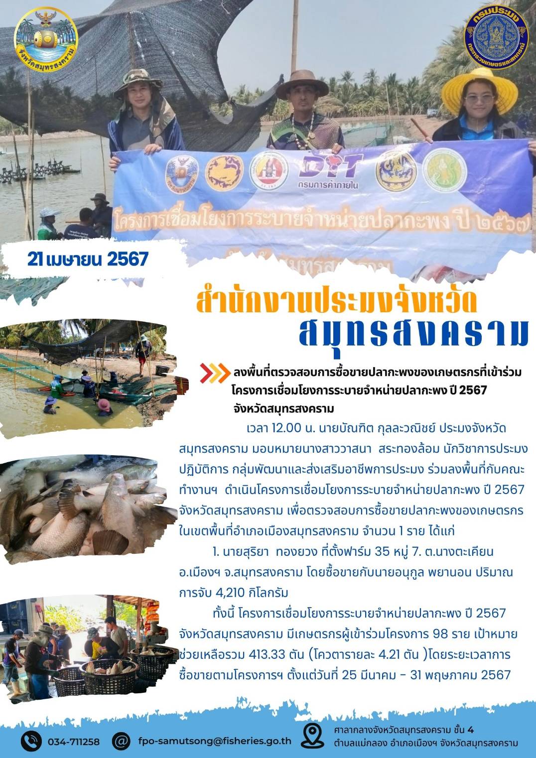 ร่วมลงพื้นที่ตรวจสอบการซื้อขายปลากะพงของ เกษตรกรที่เข้าร่วมโครงการเชื่อมโยงการระบาย จำหน่ายปลากะพงขาว ปี 2567 จังหวัด สมุทรสงคราม..คลิก