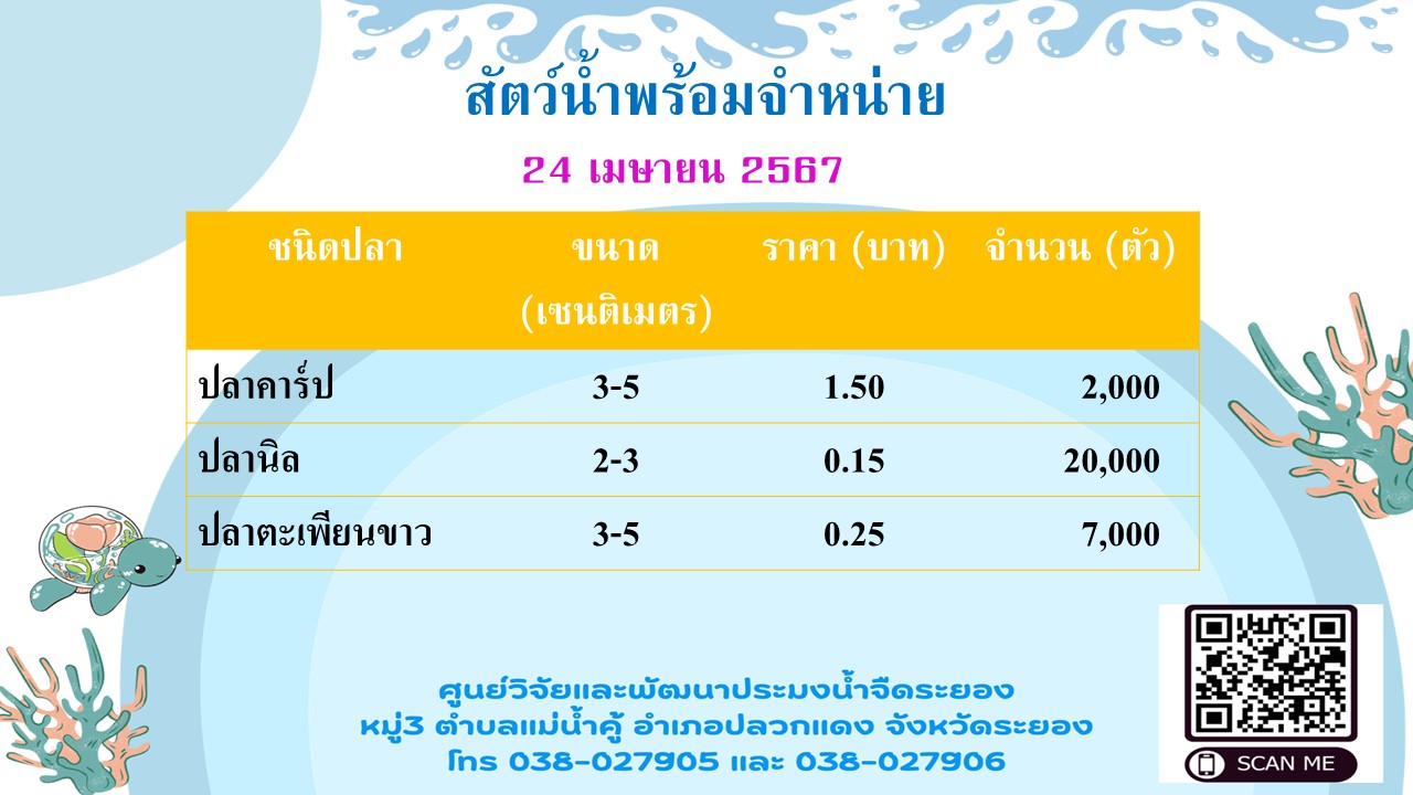 สัตว์น้ำพร้อมจำหน่าย วันที่ 24 เมษายน 2567..คลิก