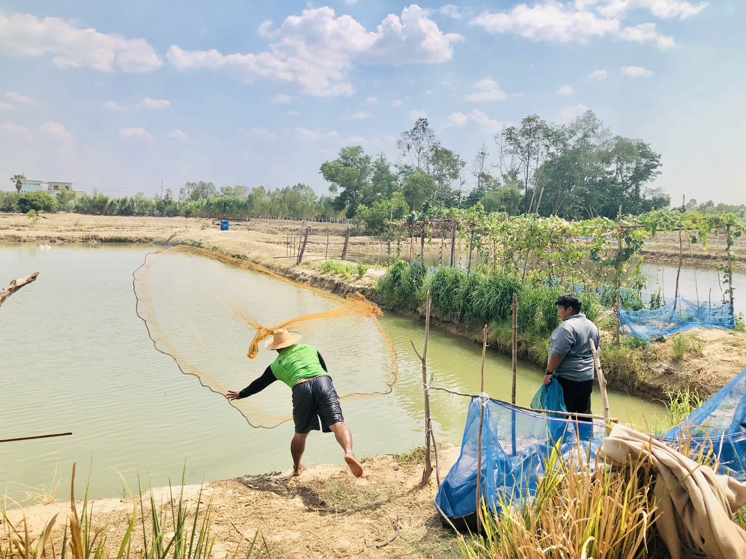 ตรวจประเมิน และตรวจติดตามฟาร์มเพาะเลี้ยงสัตว์น้ำ ตามมาตรฐานการปฏิบัติทางการเพาะเลี้ยงสัตว์น้ำที่ดี (Good Aquaculture Practice; GAP) หรือ จี เอ พี
