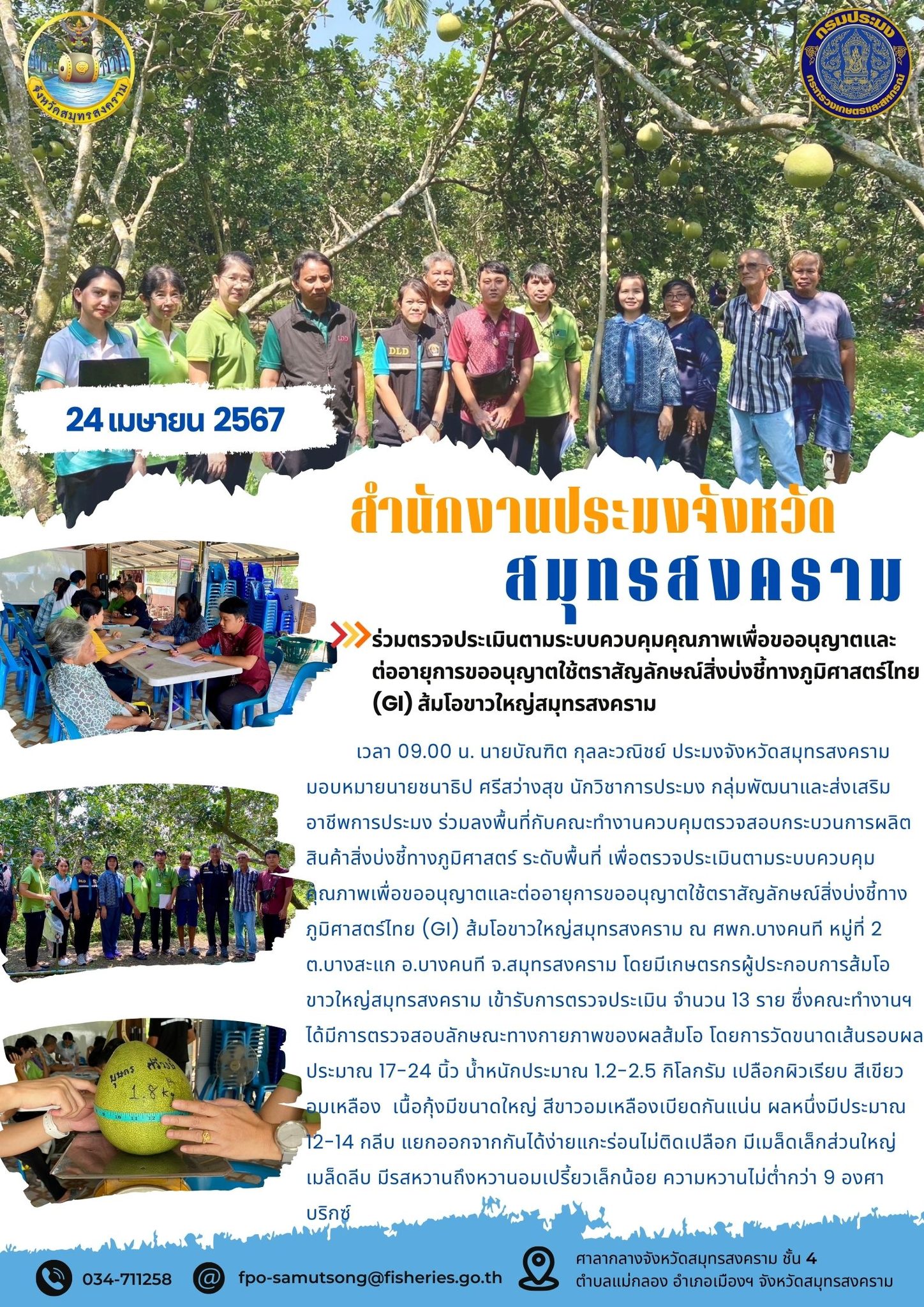 ร่วมตรวจประเมินตามระบบควบคุมคุณภาพเพื่อขออนุญาตและ ต่ออายุการขออนุญาตใช้ตราสัญลักษณ์สิ่งบ่งชี้ทางภูมิศาสตร์ไทย (GI) ส้มโอขาวใหญ่สมุทรสงคราม..คลิก