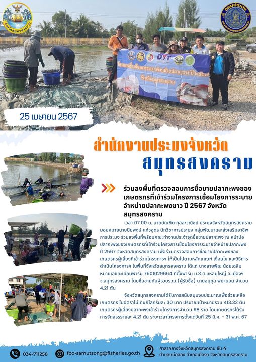 ร่วมลงพื้นที่ตรวจสอบการซื้อขายปลากะพงของเกษตรกรที่เข้าร่วมโครงการเชื่อมโยงการระบายจำหน่ายปลากะพง ปี 2567 จังหวัดสมุทรสงคราม..คลิก