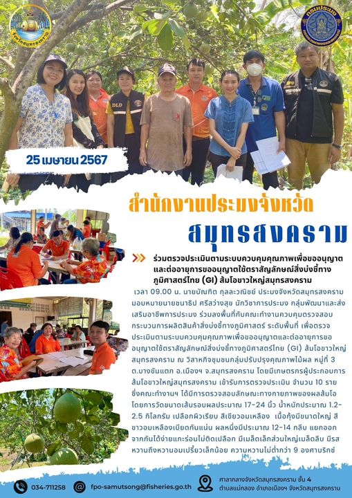 ร่วมตรวจประเมินตามระบบควบคุมคุณภาพเพื่อขออนุญาตและ ต่ออายุการขออนุญาตใช้ตราสัญลักษณ์สิ่งบ่งชี้ทางภูมิศาสตร์ไทย (GI) ส้มโอขาวใหญ่สมุทรสงคราม..คลิก