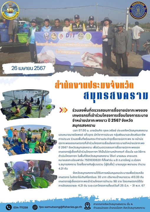 ร่วมลงพื้นที่ตรวจสอบการซื้อขายปลากะพงของเกษตรกรที่เข้าร่วมโครงการเชื่อมโยงการระบายจำหน่ายปลากะพง ปี 2567 จังหวัดสมุทรสงคราม..คลิก