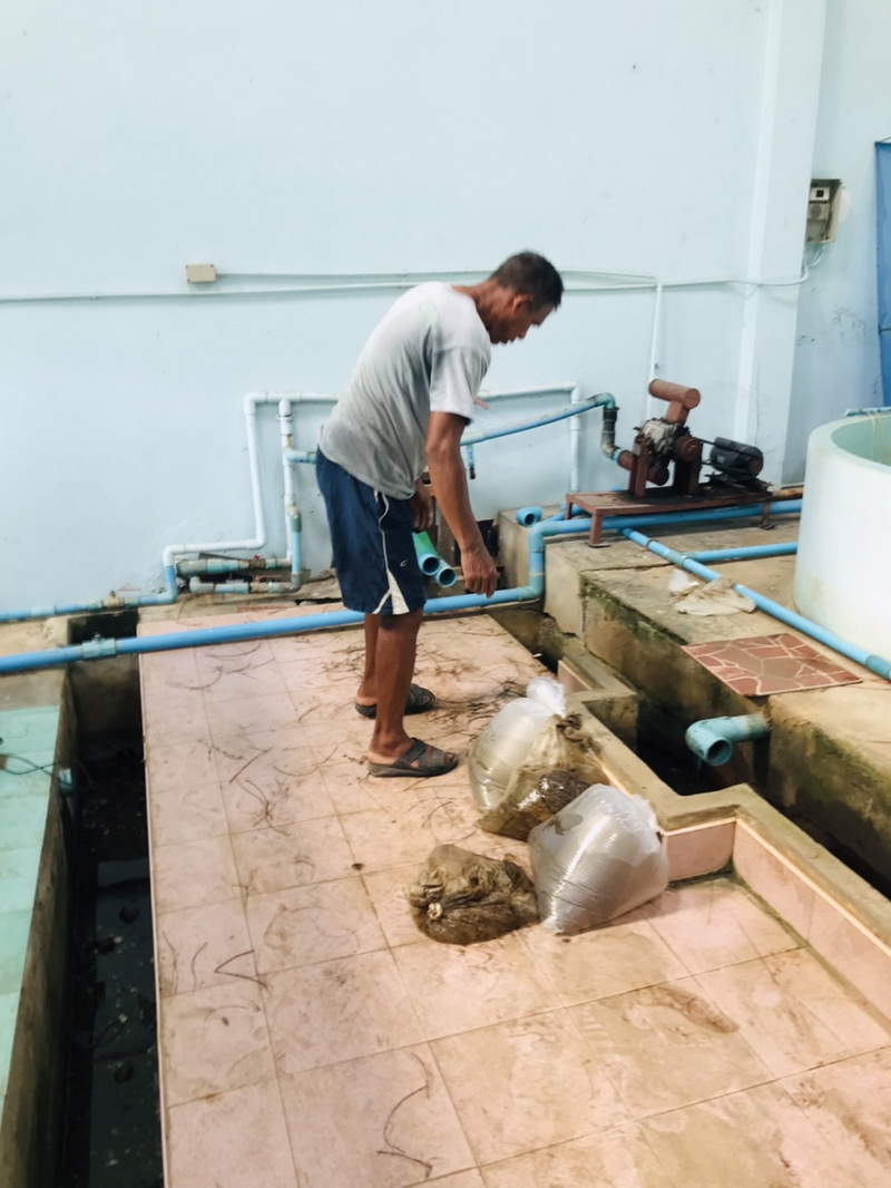 จัดกิจกรรม Big Cleaning Day ณ ศูนย์วิจัยและพัฒนาประมงน้ำจืดพัทลุง..คลิก