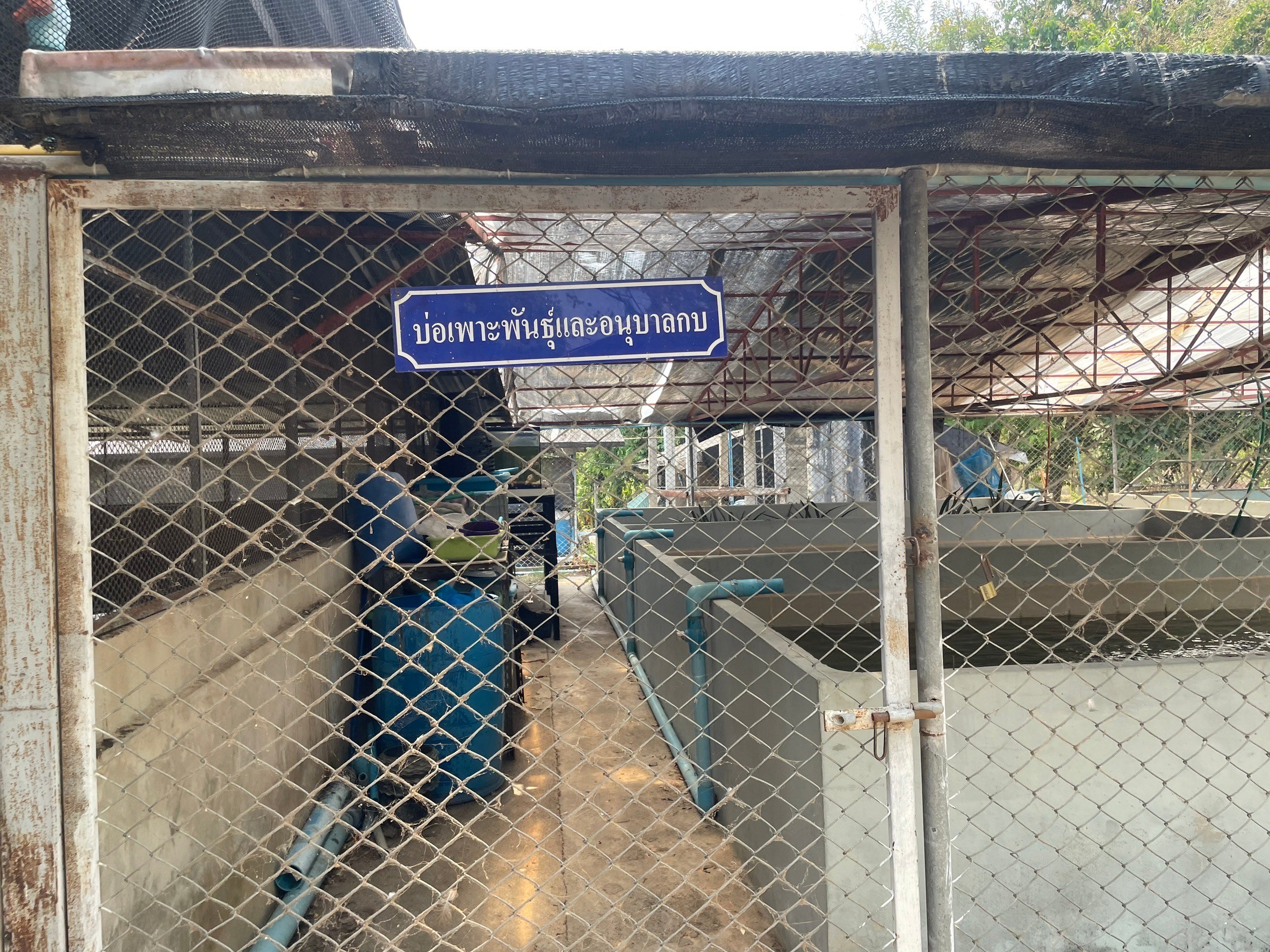 ศูนย์ฯ อ่างทอง เข้าตรวจประเมินฟาร์มเพาะพันธุ์และอนุบาลสัตว์น้ำจืดตามมาตรฐานทางการเพาะเลี้ยงสัตว์น้ำที่ดี (มกษ.7438-2565) ของศูนย์วิจัยและพัฒนาการเพาะเลี้ยงสัตว์น้ำจืดราชบุรี..คลิก