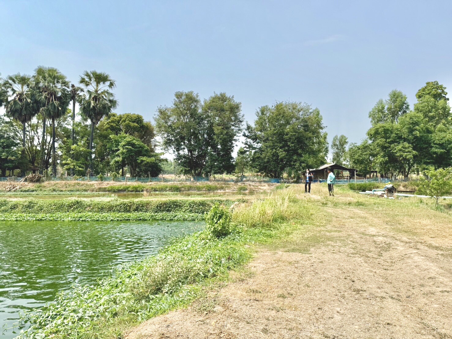 ตรวจประเมิน และตรวจติดตามฟาร์มเพาะเลี้ยงสัตว์น้ำ ตามมาตรฐานการปฏิบัติทางการเพาะเลี้ยงสัตว์น้ำที่ดี (Good Aquaculture Practice; GAP) หรือ จี เอ พี จำนวน 4 ฟาร์ม..คลิก