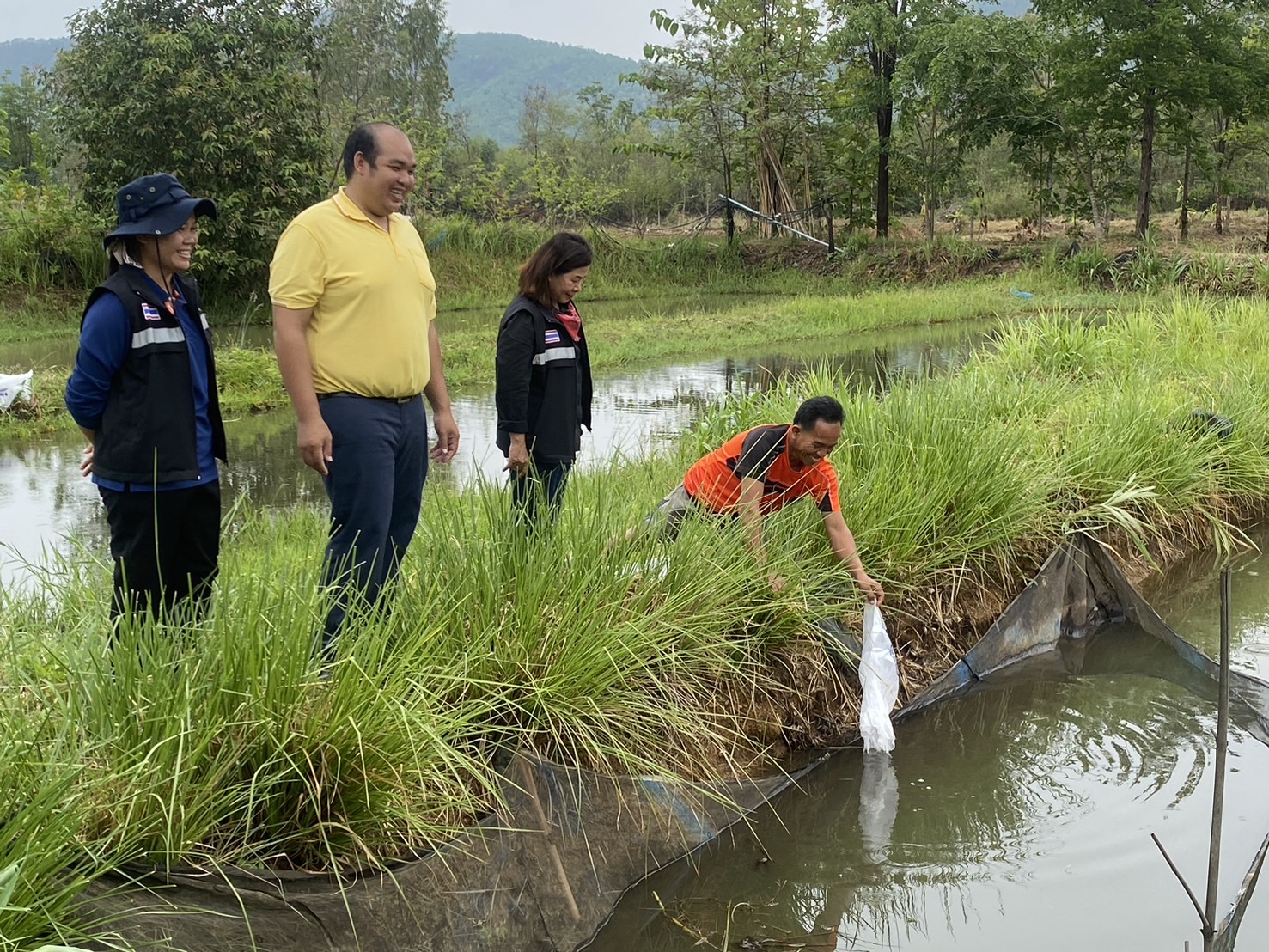 สำนักงานประมงจังหวัดหนองบัวลำภู ร่วมกับศูนย์วิจัยและพัฒนาการเพาะเลี้ยงสัตว์น้ำจืดอุดรธานี ร่วมมอบปัจจัยการผลิต ตามโครงการระบบส่งเสริมการเกษตรแบบแปลงใหญ่..คลิก