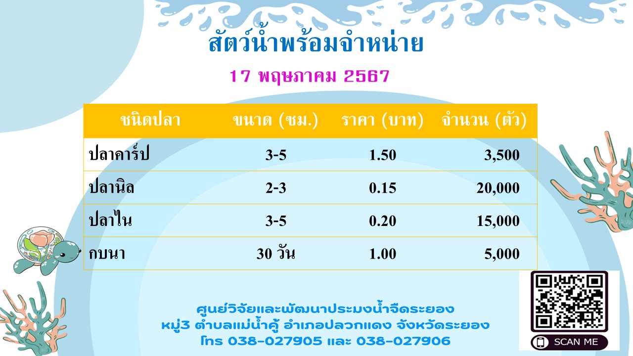 สัตว์น้ำพร้อมจำหน่าย วันที่ 17 พฤษภาคม 2567..คลิก