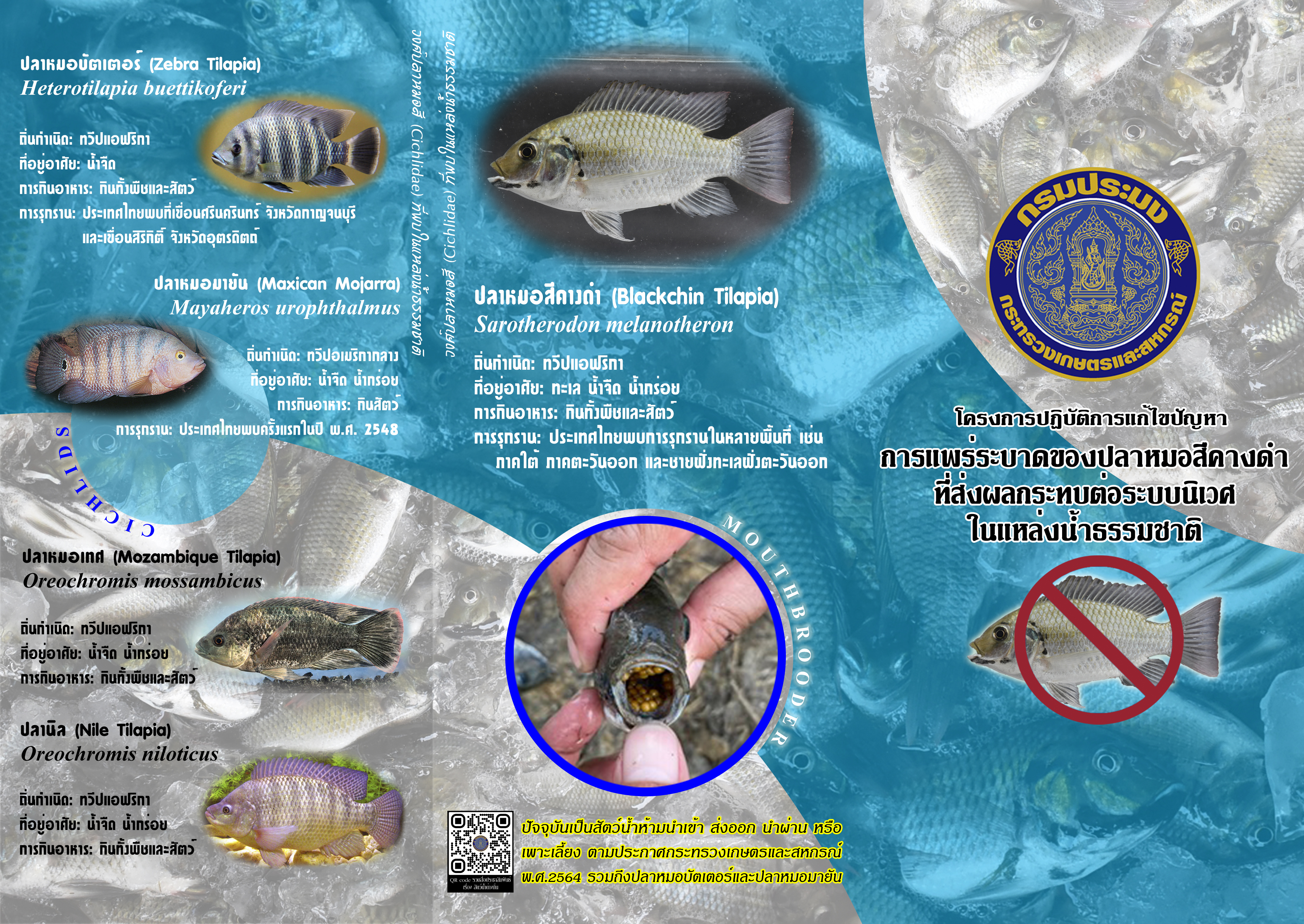 ประชาสัมพันธ์เกี่ยวกับสัตว์น้ำต่างถิ่นและปลาหมอสีคางดำ..คลิก
