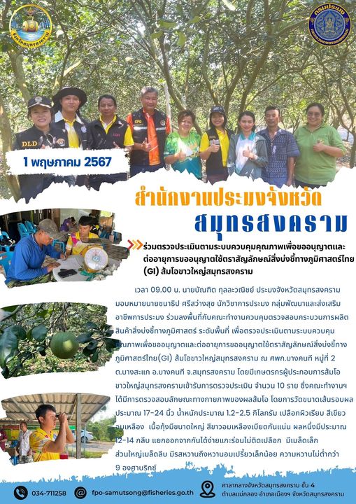 ร่วมตรวจประเมินตามระบบควบคุมคุณภาพเพื่อขออนุญาตและ ต่ออายุการขออนุญาตใช้ตราสัญลักษณ์สิ่งบ่งชี้ทางภูมิศาสตร์ไทย (GI) ส้มโอขาวใหญ่สมุทรสงคราม..คลิก