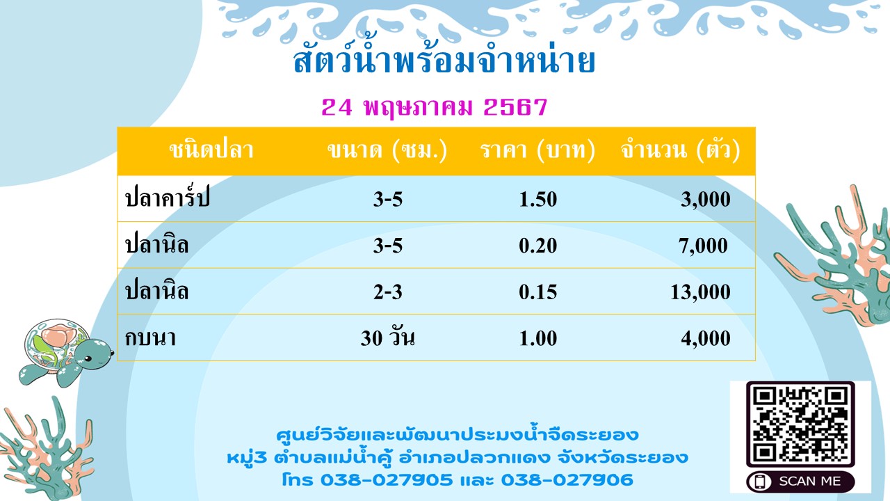 สัตว์น้ำพร้อมจำหน่าย วันที่ 24 พฤษภาคม 2567..คลิก